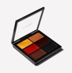 پالت کانتور و کانسیلر مک - تصویر 7