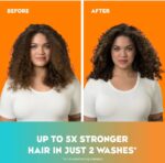 شاپو او جی ایکس نارگیل مخصوص موی فر - تصویر 4