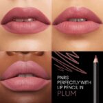 رژلب مات ابریشمی مک M·A·CXIMAL - تصویر 3