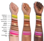 پالت سایه مورف مدل Meredith Duxbury - تصویر 4