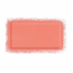 رژگونه میکاپ فوراور Artist Face Color - تصویر 3