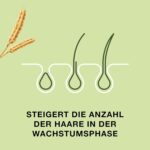 قرص مو priorin - تصویر 9