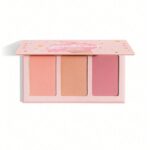 رژگونه پودری شیگلم