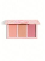 رژگونه پودری شیگلم